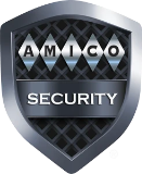 AMICO Security logo