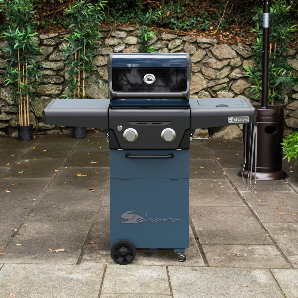 X250 2 Burner Gas BBQ