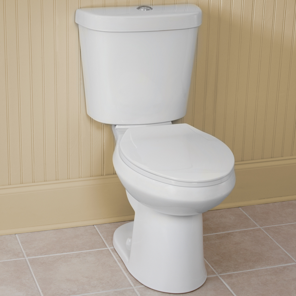 Two-Piece Dual Flush Elongated Toilet