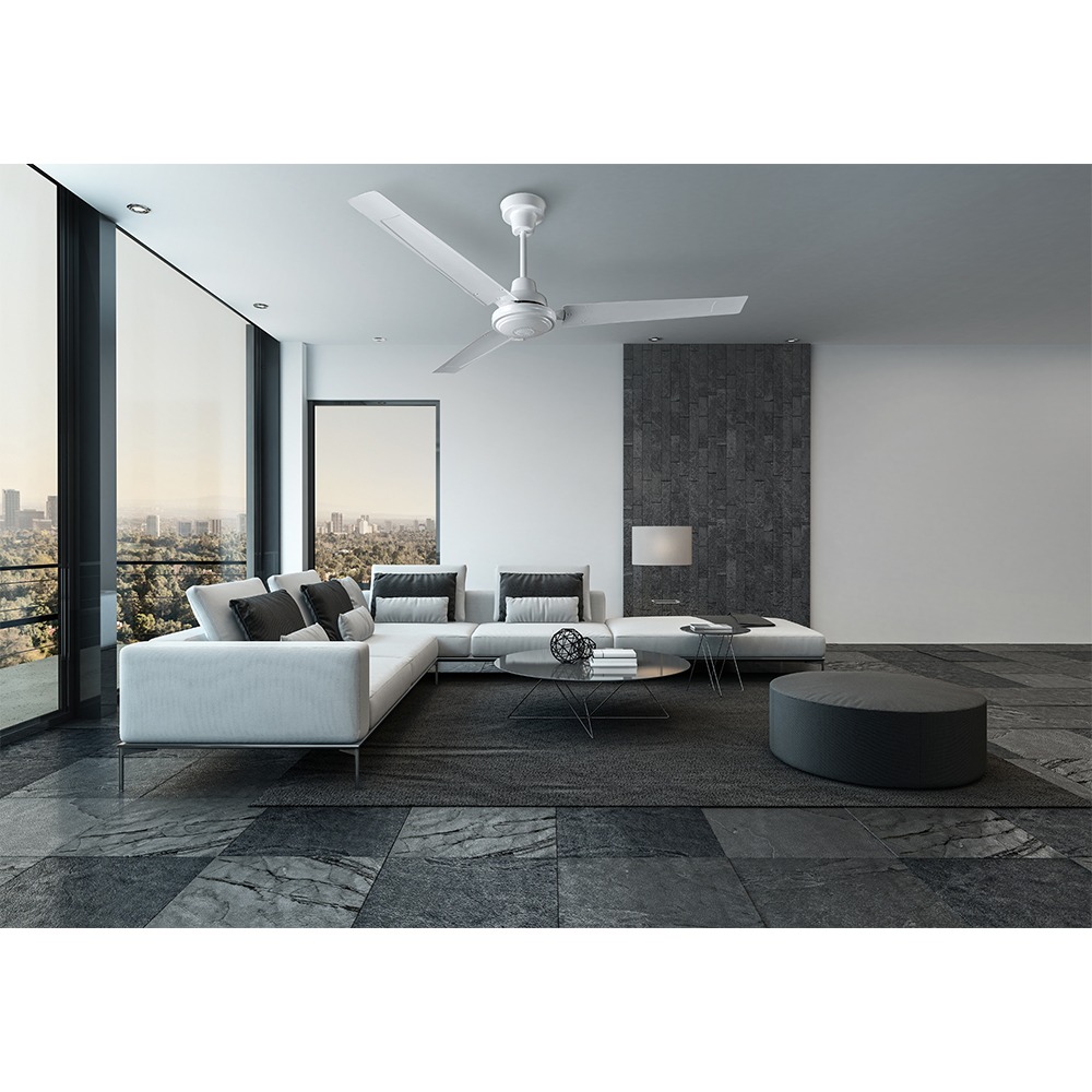 1/2 HP Shallow Well Jet Pump