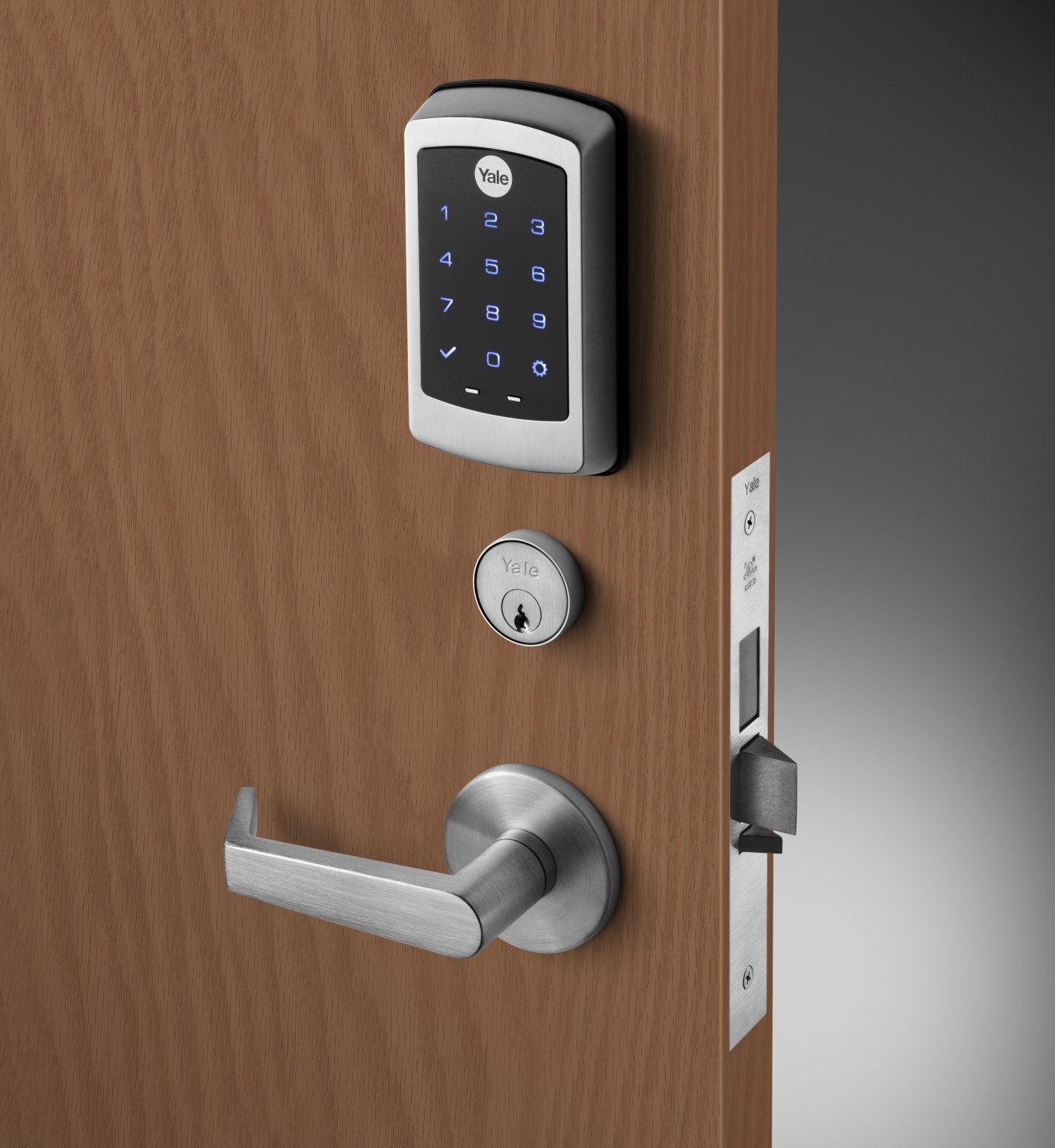 nexTouch Sectional Mortise Keypad Lock