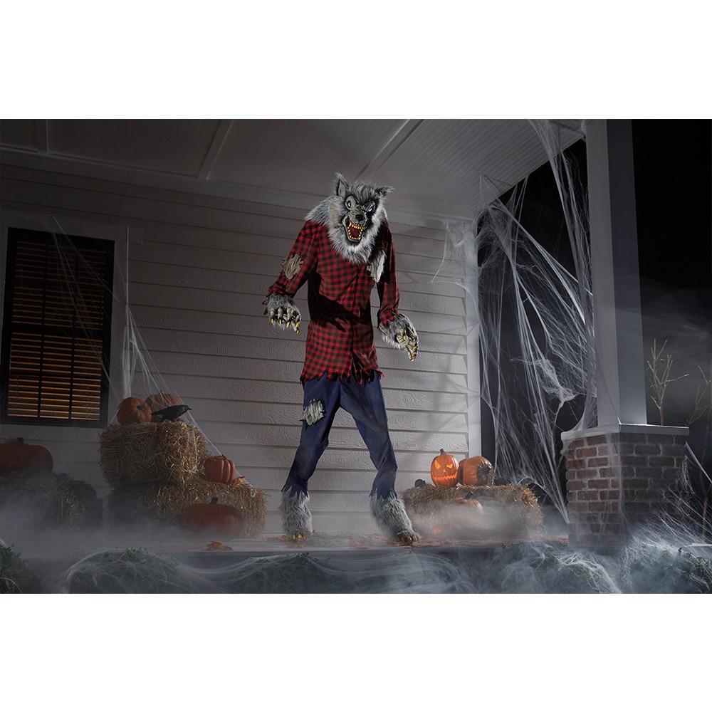 1/2 HP Shallow Well Jet Pump