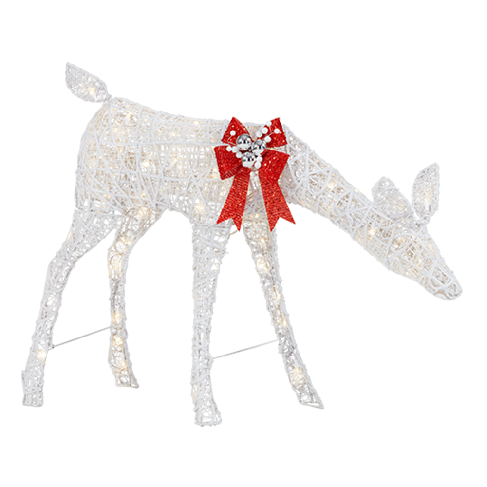 1/2 HP Shallow Well Jet Pump