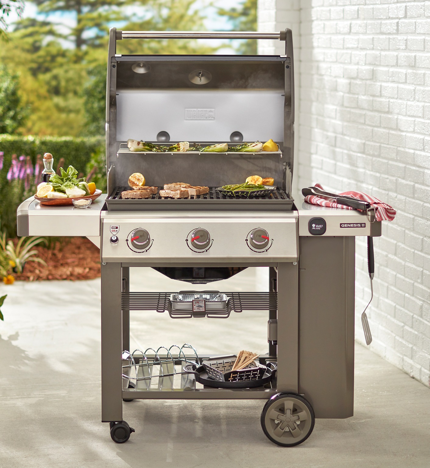 Genesis II 310 LP/NG (2017)