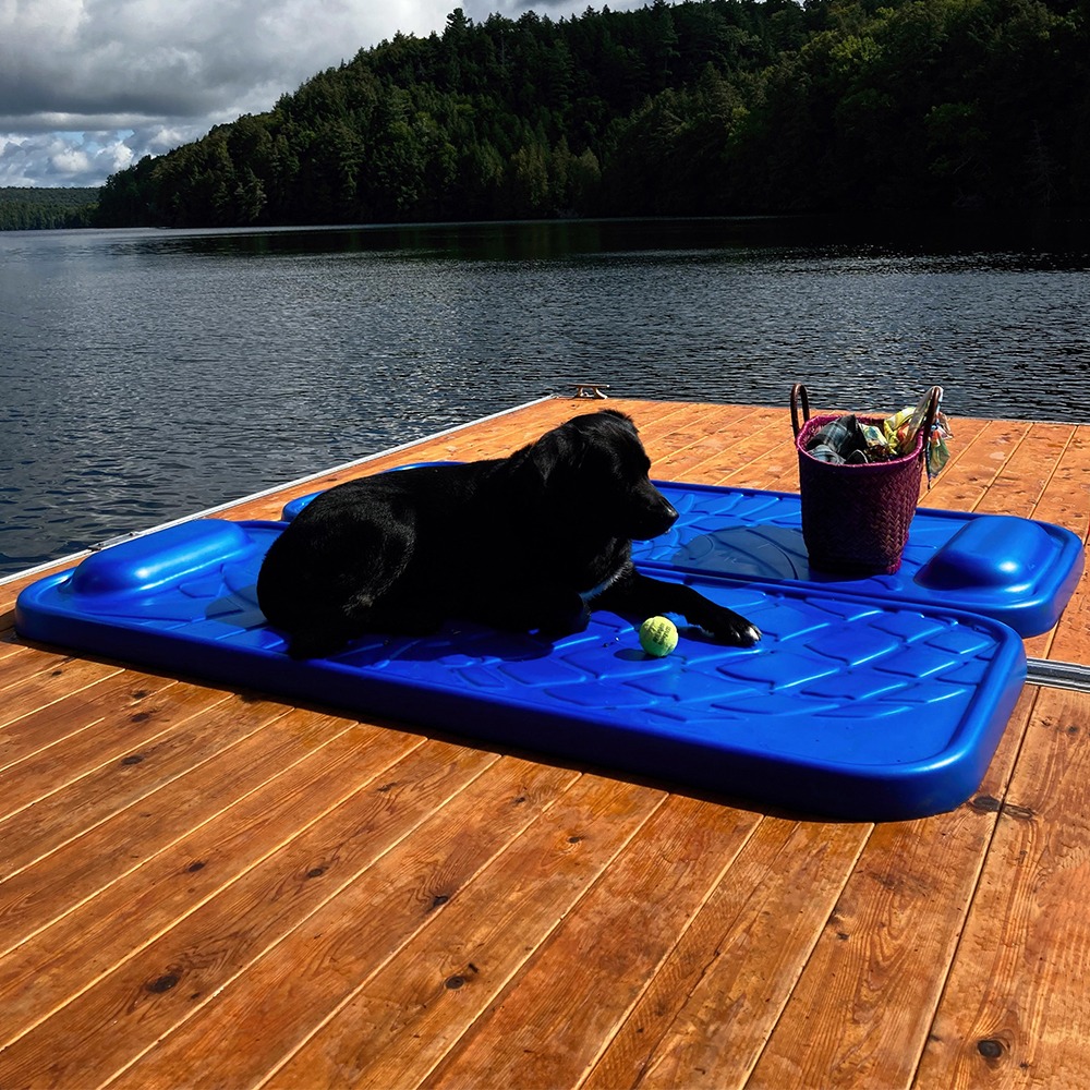 Aluminum QPF-495 Dock