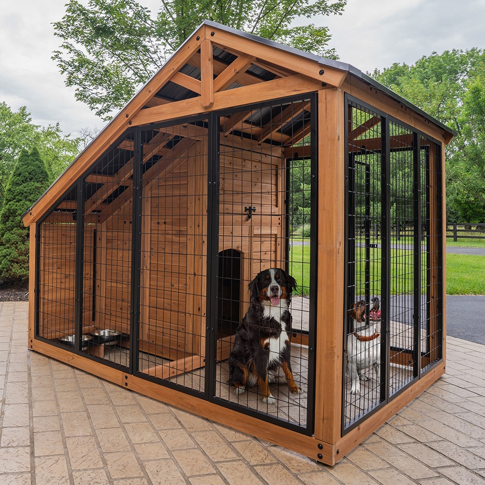 Dog Kennel