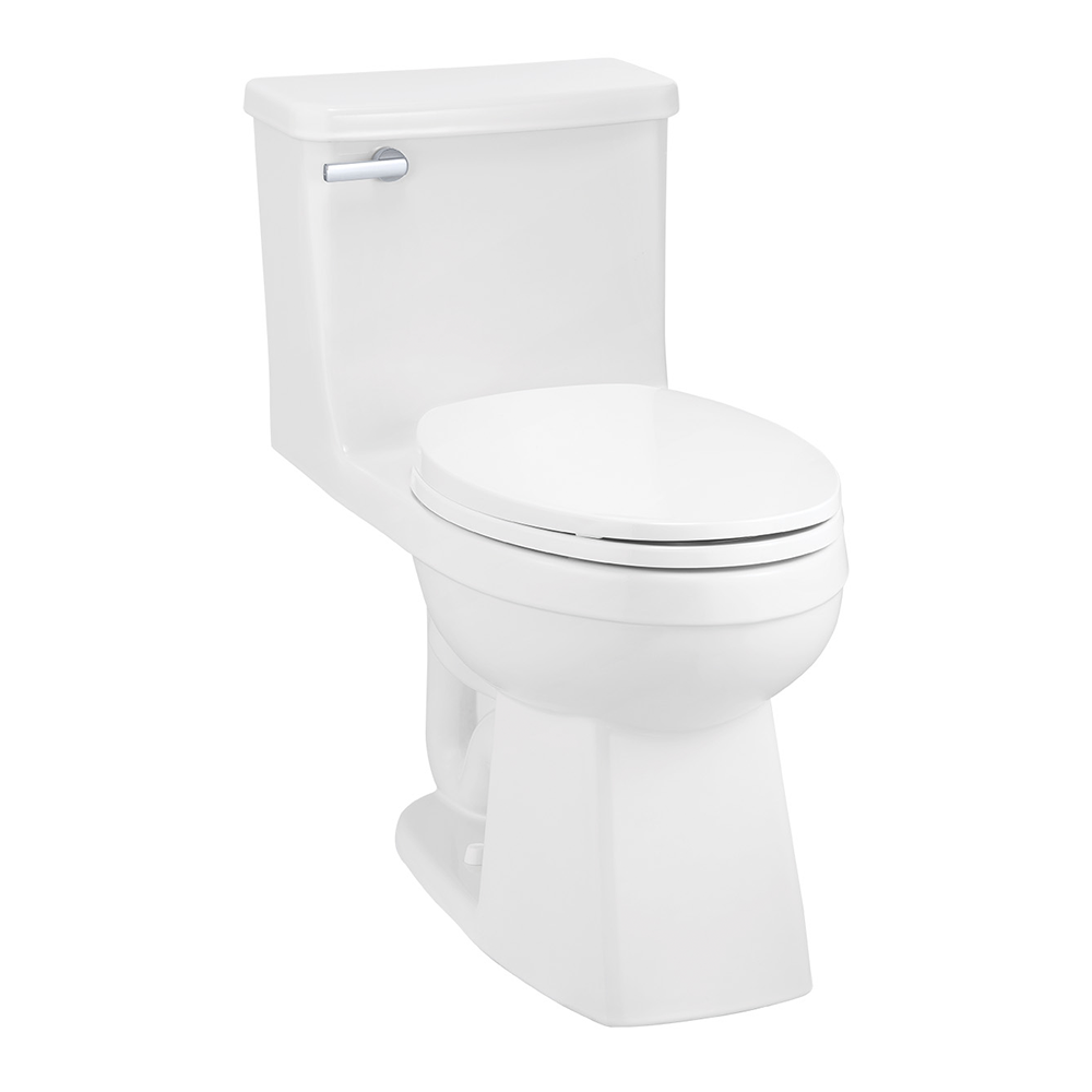 Power Flush One-Piece Single Flush Elongated Toilet