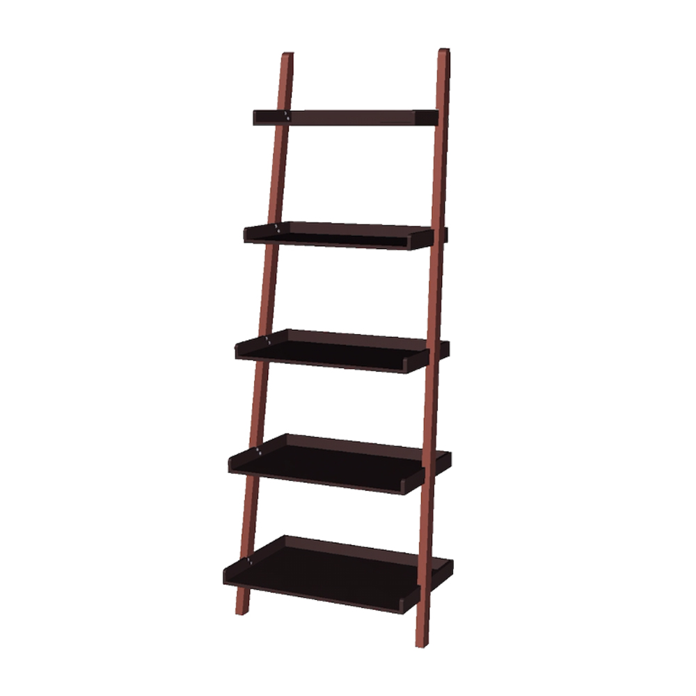 Ladder Shelf