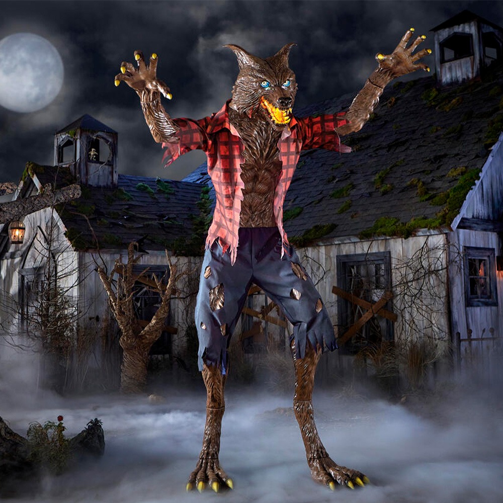 1/2 HP Shallow Well Jet Pump