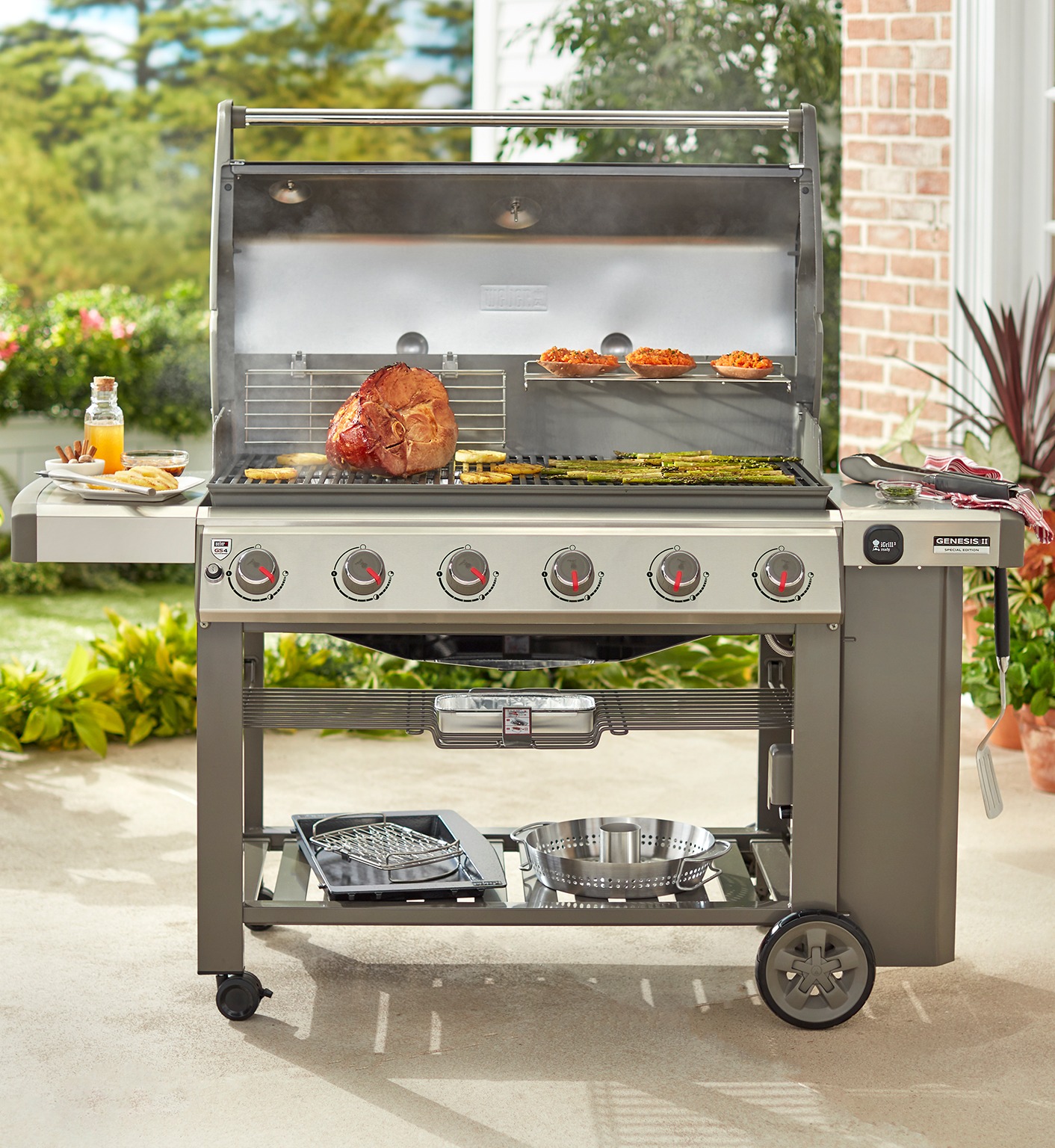 Genesis II 610 LP/NG (2017)