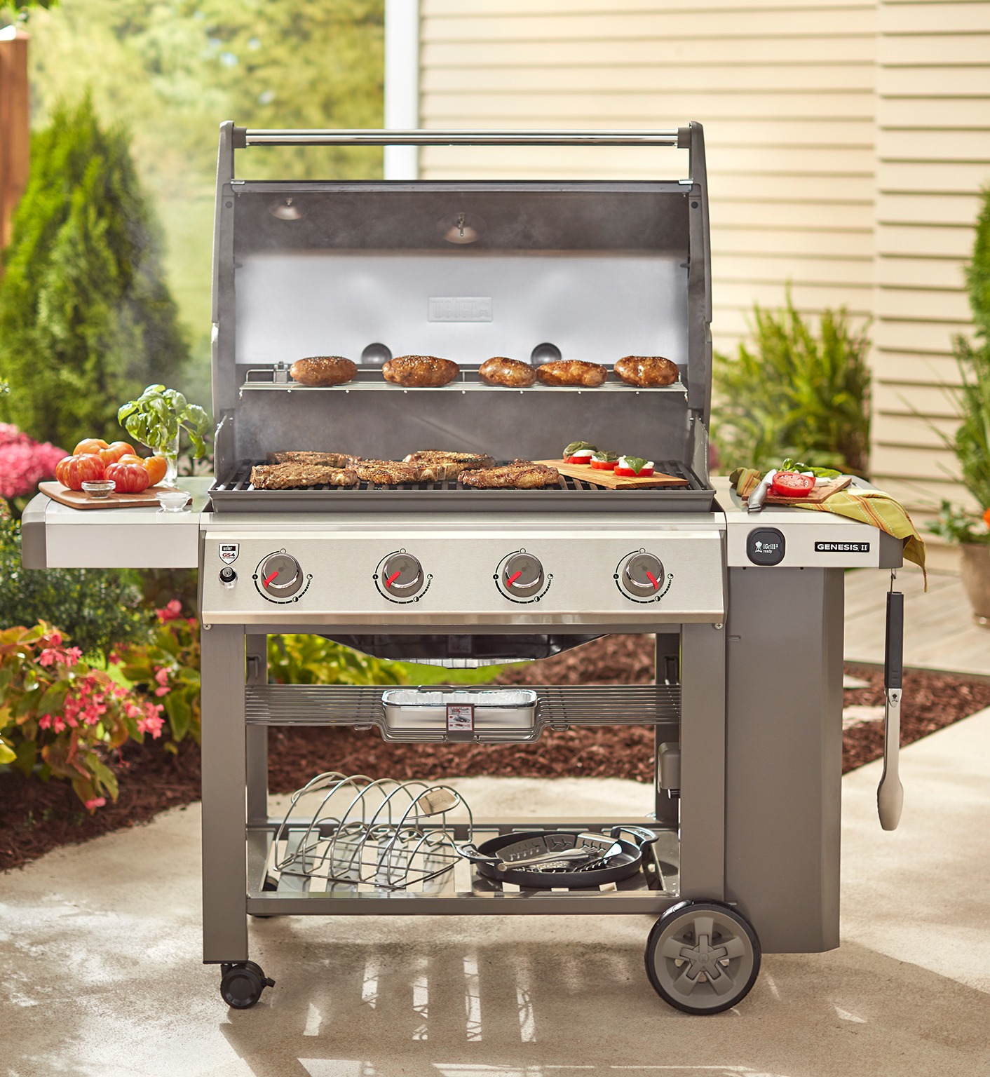 Genesis II 410 LP/NG (2017)