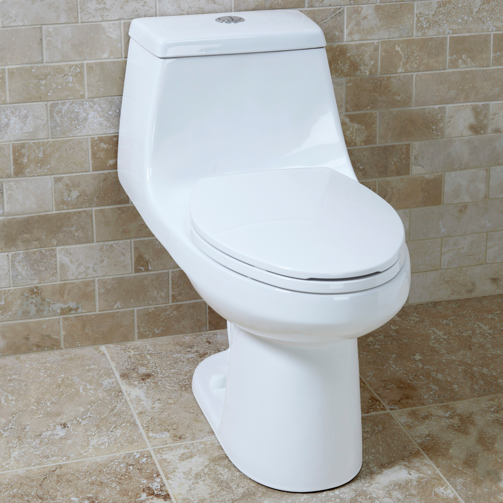 McClure One-Piece Dual Flush Elongated Toilet