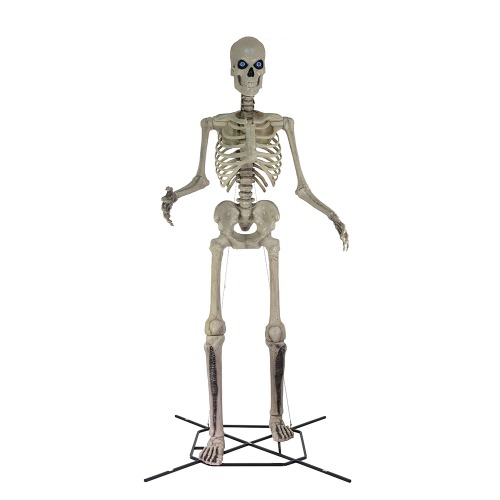 Photo of 12 ft. Giant-Sized Skeleton with LifeEyes