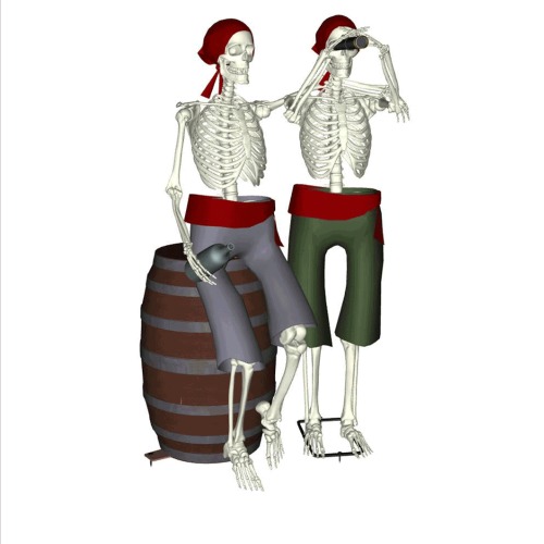 Photo of Set of Two Pirate Skeletons