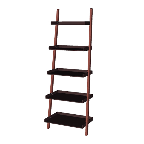 Photo of Ladder Shelf